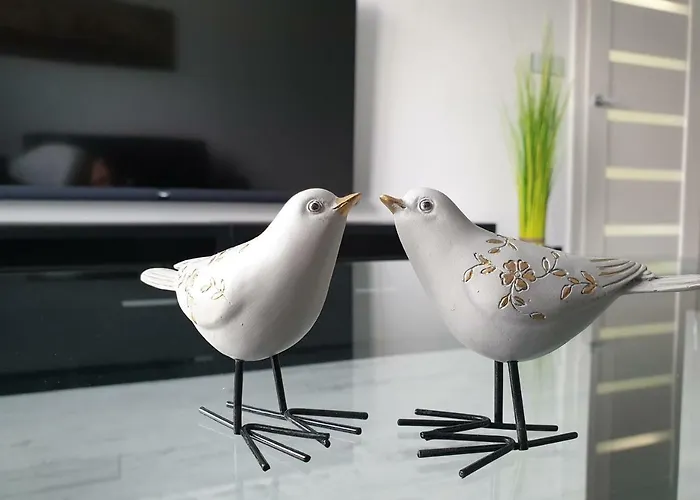 Urban Apartament